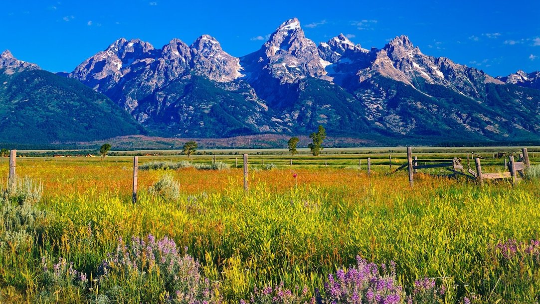 Wyoming