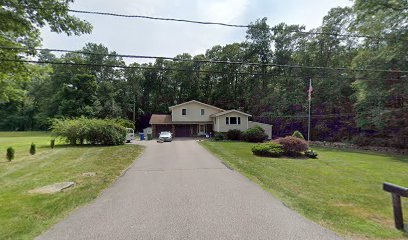 Free Range Dog Containment