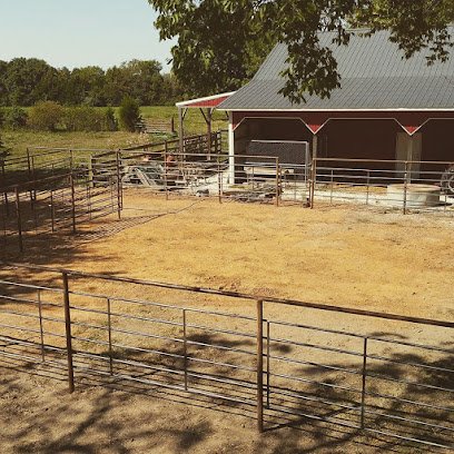 jones bobcat service