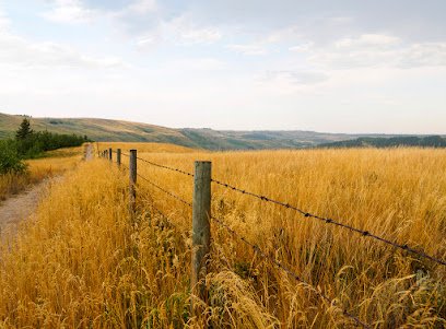 Z-E Fencing & Restoration