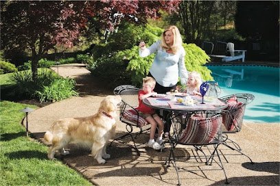 Invisible Fence of Erie