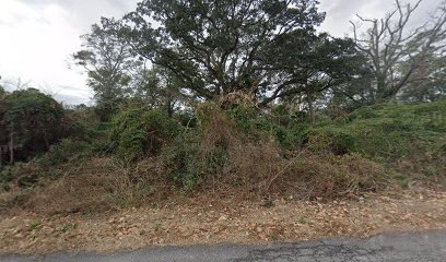 North Myrtle Beach Fence