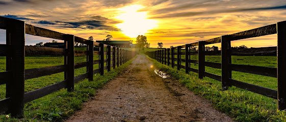Exquisite Fencing and Design