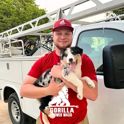Gorilla Power Wash & Stain