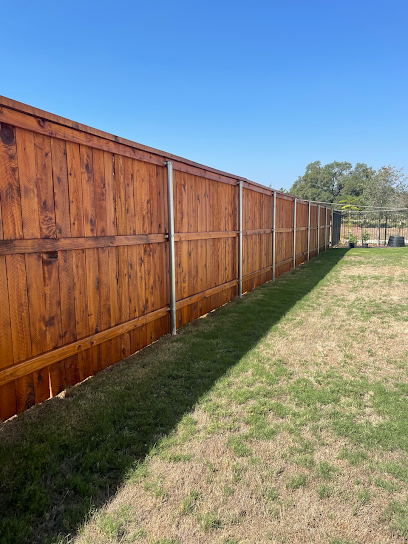 Live Oak Fence Staining and Restoration